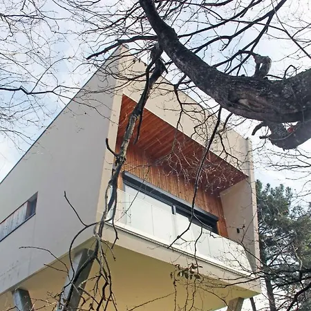 Elordui